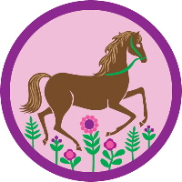 Girl Scouts Horsewomanship Badge